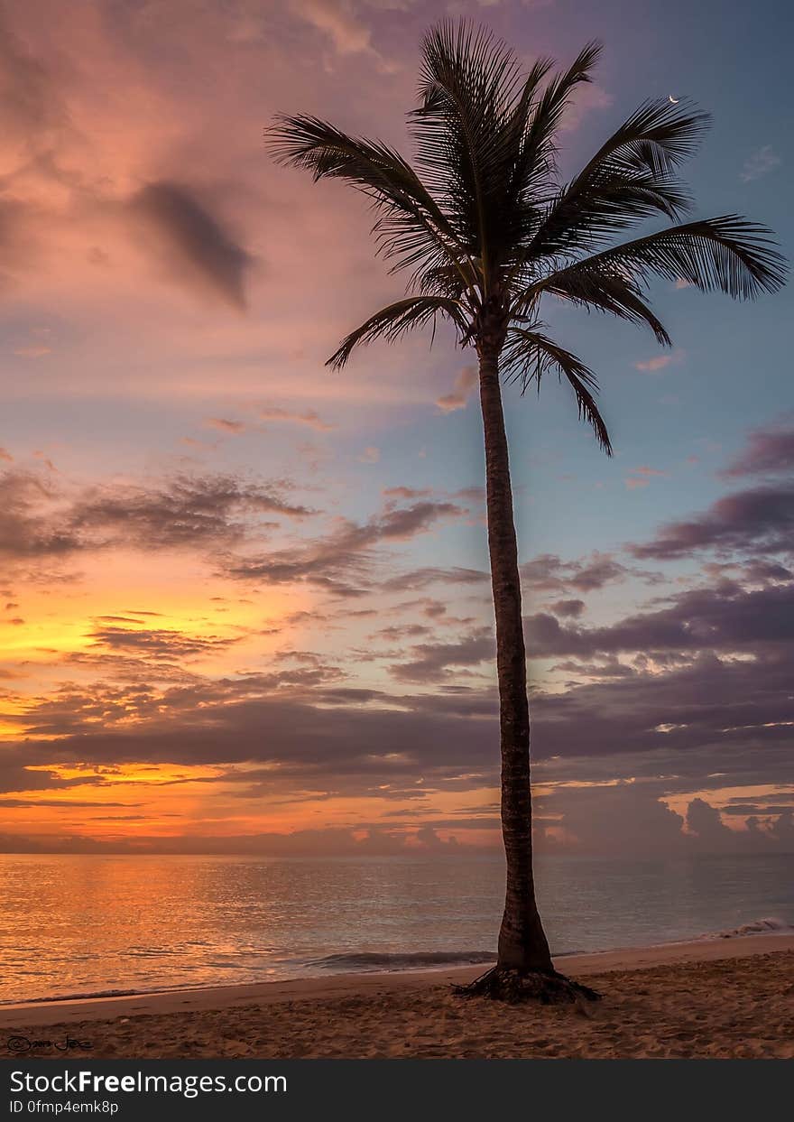 Sunrise, Punta Cana, Dominican Republic