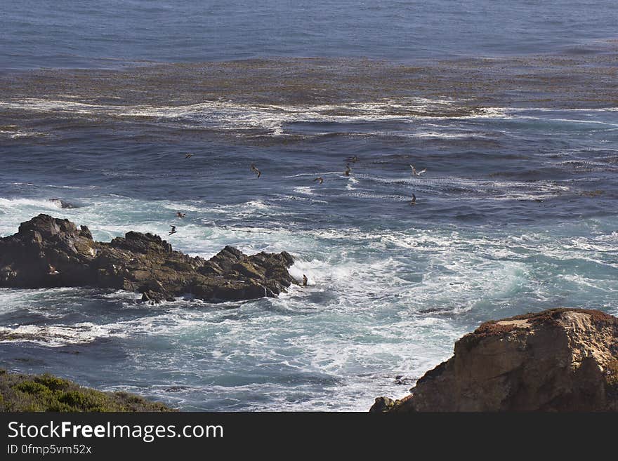 Birds flying &#x28;Big Sur&#x29;