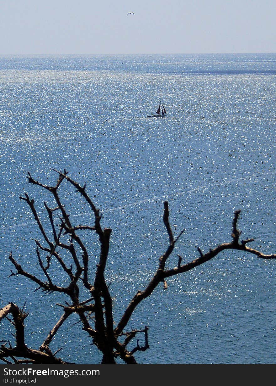 Coastal Walk