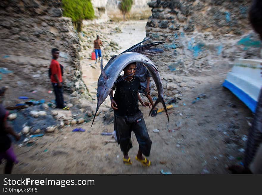 A Somali man carries a large sailfish on his head as he transports it to Mogadishu&#x27;s fish market in the Xamar Weyne district of the Somali capital, 16 March, 2013. Every morning Mogadishu&#x27;s fisherman bring their catch ashore upon which it is quickly unloaded and transported to Xamar Weyne&#x27;s lively and chaotic fish market where it is sold for consumption on the local market and increasingly, for export to other countries. Over the last two decades, instability on land has greatly restricted the development of the country&#x27;s fishing industry, but now that Somalia is enjoying the longest period of sustained peace in over 20 years, there is large-scale potential and opportunity to harvest the bountiful waters off the Horn of Africa nation, which boasts the longest coastline in Africa. AU-UN IST PHOTO / STUART PRICE. A Somali man carries a large sailfish on his head as he transports it to Mogadishu&#x27;s fish market in the Xamar Weyne district of the Somali capital, 16 March, 2013. Every morning Mogadishu&#x27;s fisherman bring their catch ashore upon which it is quickly unloaded and transported to Xamar Weyne&#x27;s lively and chaotic fish market where it is sold for consumption on the local market and increasingly, for export to other countries. Over the last two decades, instability on land has greatly restricted the development of the country&#x27;s fishing industry, but now that Somalia is enjoying the longest period of sustained peace in over 20 years, there is large-scale potential and opportunity to harvest the bountiful waters off the Horn of Africa nation, which boasts the longest coastline in Africa. AU-UN IST PHOTO / STUART PRICE.