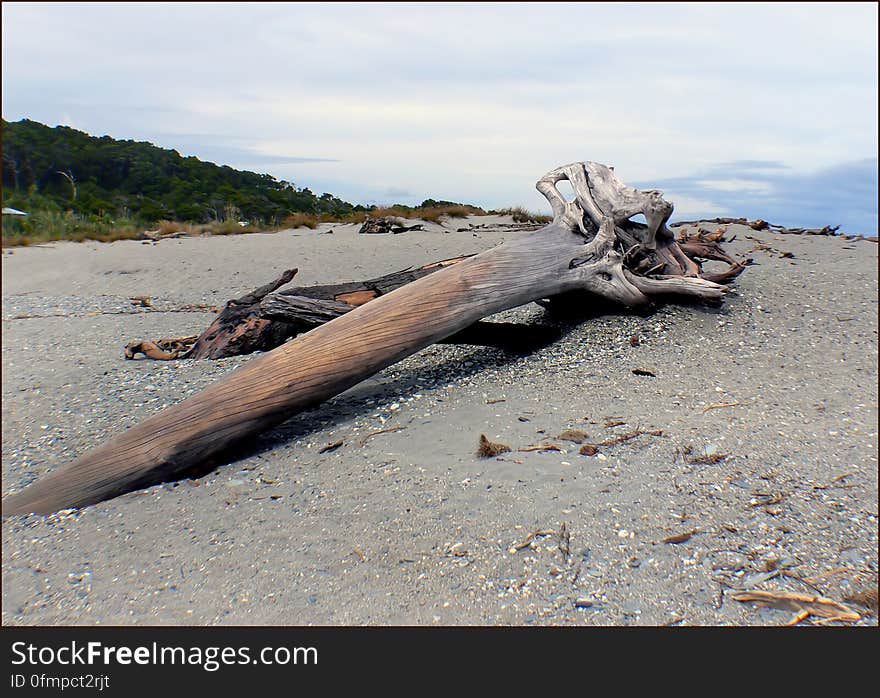 West Coast beaches of New Zealand &#x28;33&#x29;