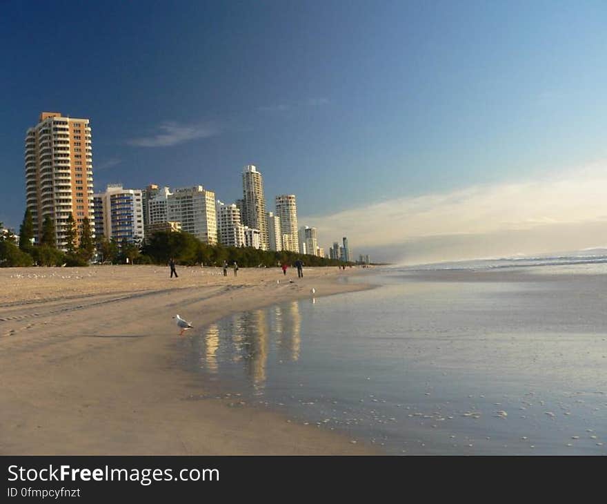 Gold Coast Australia &#x28;1&#x29;