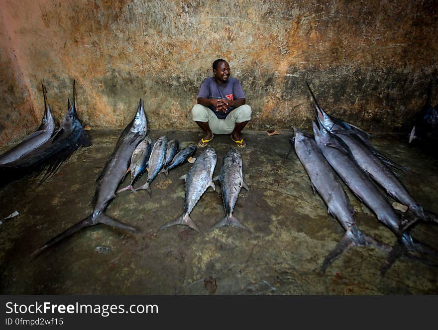 A trader waits to sell fish inside Mogadishu&#x27;s fish market in the Xamar Weyne district of the Somali capital. Every morning Mogadishu&#x27;s fisherman bring their catch from the Indian Ocean ashore upon which it is quickly unloaded and transported to Xamar Weyne&#x27;s lively and chaotic fish market where it is sold for consumption on the local market and increasingly, for export to other countries. Over the last two decades, instability on land has greatly restricted the development of the country&#x27;s fishing industry, but now that Somalia is enjoying the longest period of sustained peace in over 20 years, there is large-scale potential and opportunity to harvest the bountiful waters off the Horn of Africa nation, which boasts the longest coastline in Africa. AU-UN IST PHOTO / STUART PRICE. A trader waits to sell fish inside Mogadishu&#x27;s fish market in the Xamar Weyne district of the Somali capital. Every morning Mogadishu&#x27;s fisherman bring their catch from the Indian Ocean ashore upon which it is quickly unloaded and transported to Xamar Weyne&#x27;s lively and chaotic fish market where it is sold for consumption on the local market and increasingly, for export to other countries. Over the last two decades, instability on land has greatly restricted the development of the country&#x27;s fishing industry, but now that Somalia is enjoying the longest period of sustained peace in over 20 years, there is large-scale potential and opportunity to harvest the bountiful waters off the Horn of Africa nation, which boasts the longest coastline in Africa. AU-UN IST PHOTO / STUART PRICE.