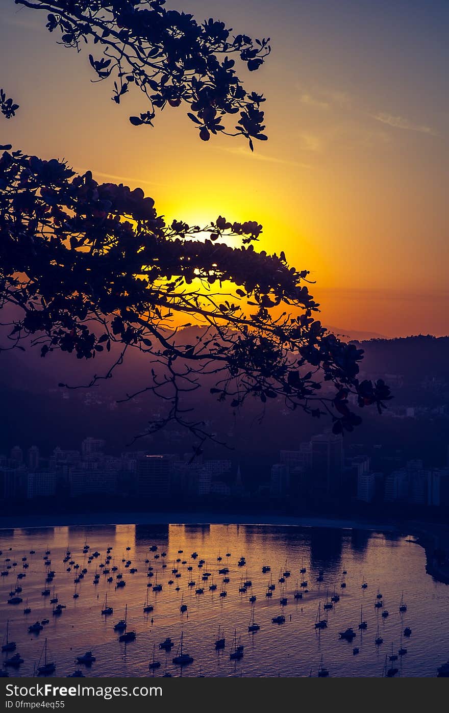 A view of a bay with sailboats at sunset. A view of a bay with sailboats at sunset.