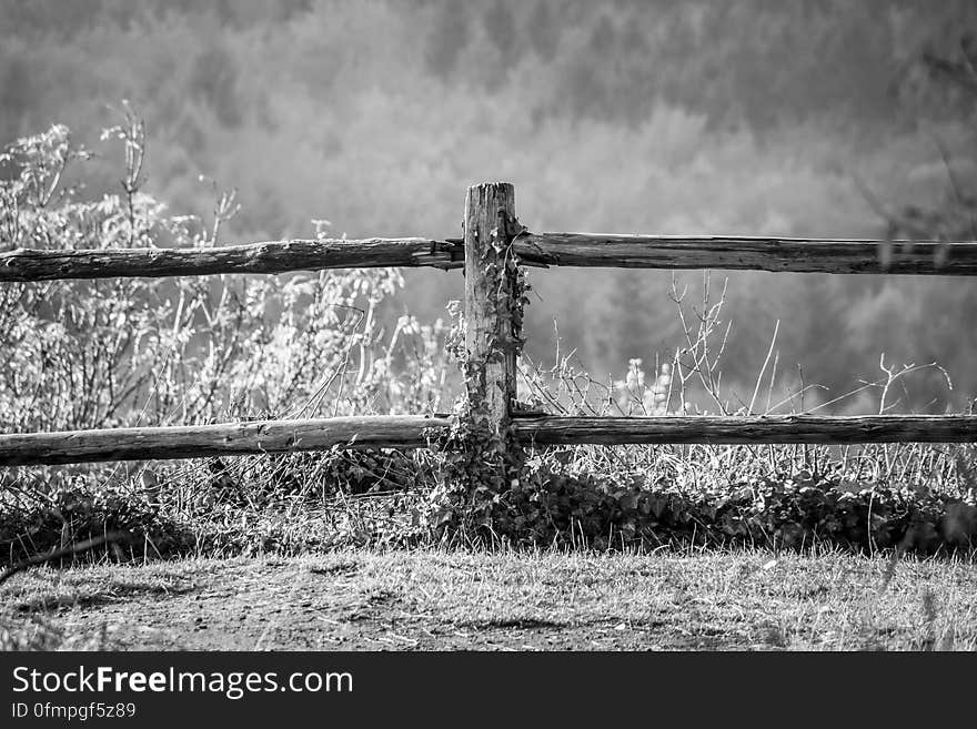 A black and white photo of an old wooden fence. A black and white photo of an old wooden fence.