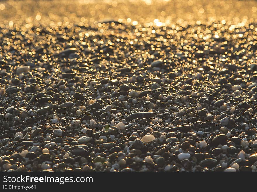 Pebble Stone on Ground