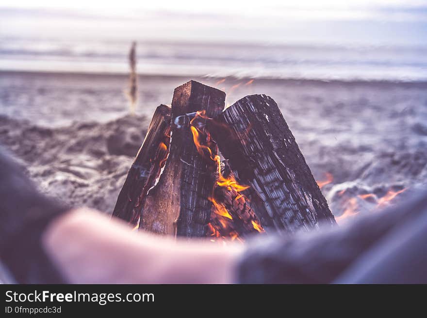 Bonfire burning on sandy beach waterfront. Bonfire burning on sandy beach waterfront.