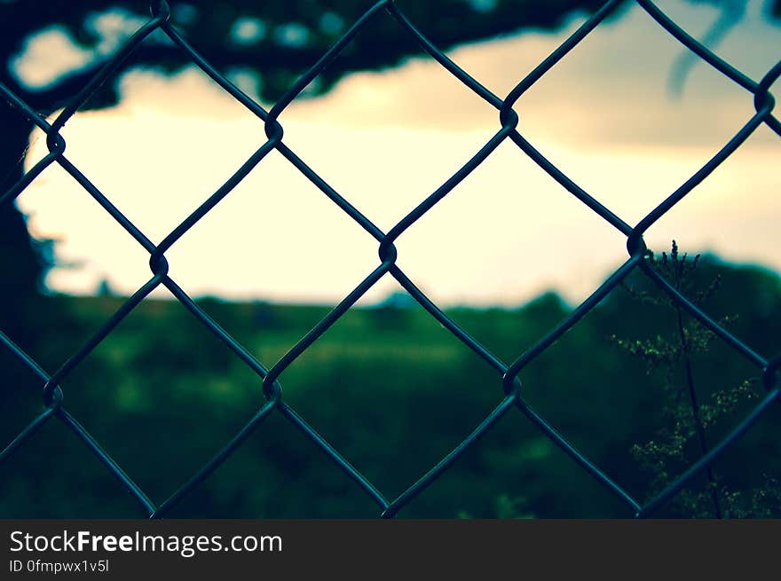 A close up of a wire mesh fence.