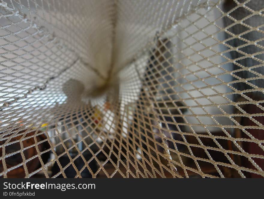 Otter net tunnel.