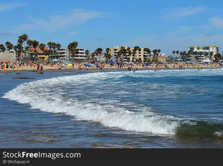 Walking along the shore on a warm summer day. Walking along the shore on a warm summer day