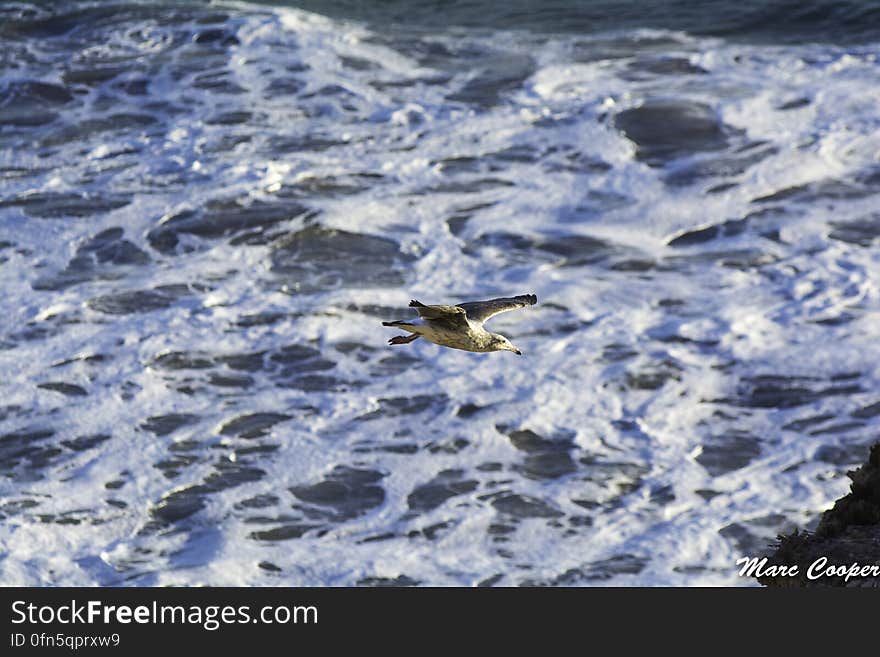 El Matador State Beach CA. El Matador State Beach CA