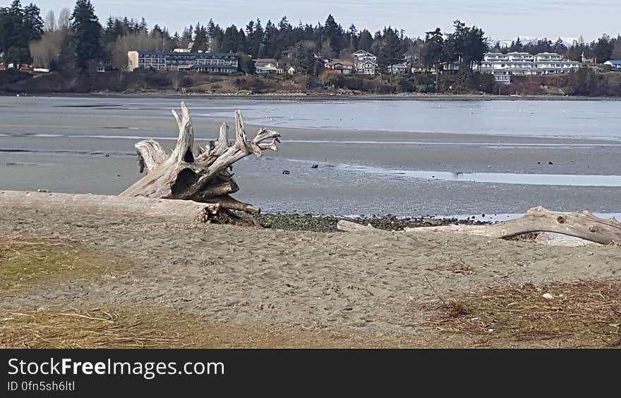 Parksville beach