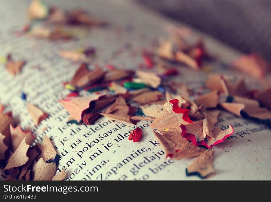 An opened book with pencil shavings on the pages. An opened book with pencil shavings on the pages.