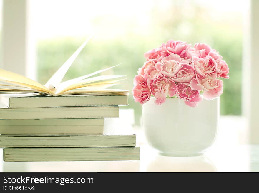 White china vase of carnation flowers next to stack of books on counter by sunny window. White china vase of carnation flowers next to stack of books on counter by sunny window.