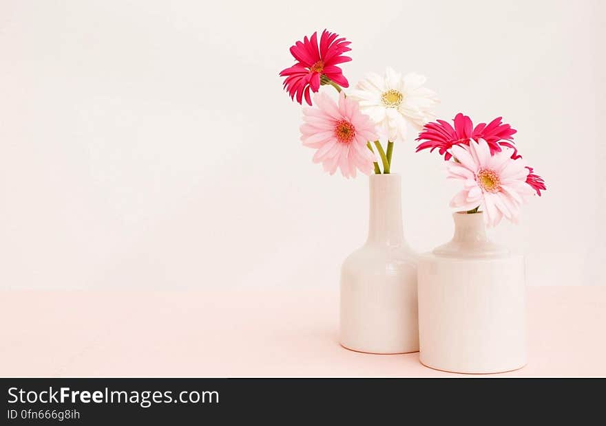 Close up of Gerber daisies in white china vases with copy space. Close up of Gerber daisies in white china vases with copy space.