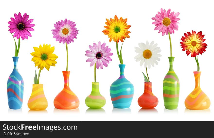 Colorful flowers in bright vases on white. Colorful flowers in bright vases on white.