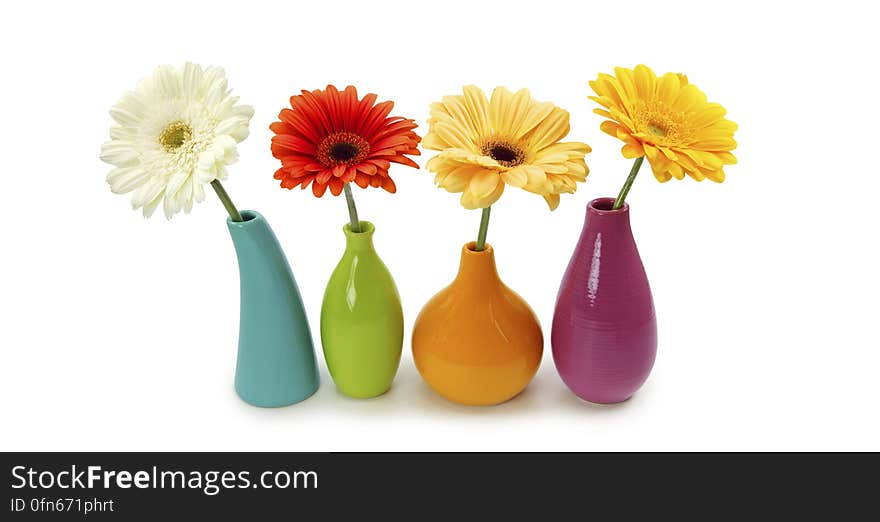 Flowers in colorful china vases on white. Flowers in colorful china vases on white.