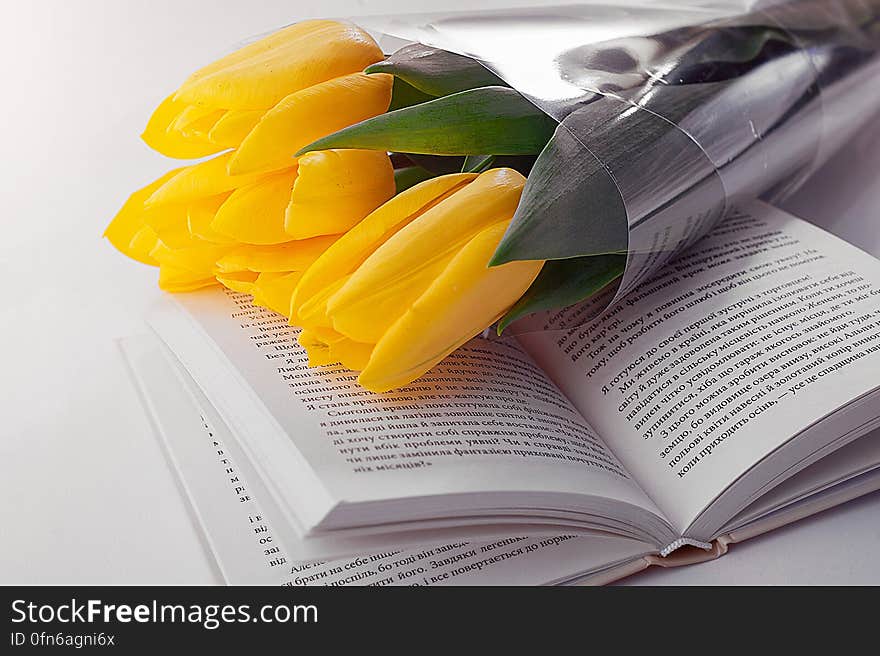 Three fresh yellow Spring tulips lying upon the pages of an open book. Three fresh yellow Spring tulips lying upon the pages of an open book.