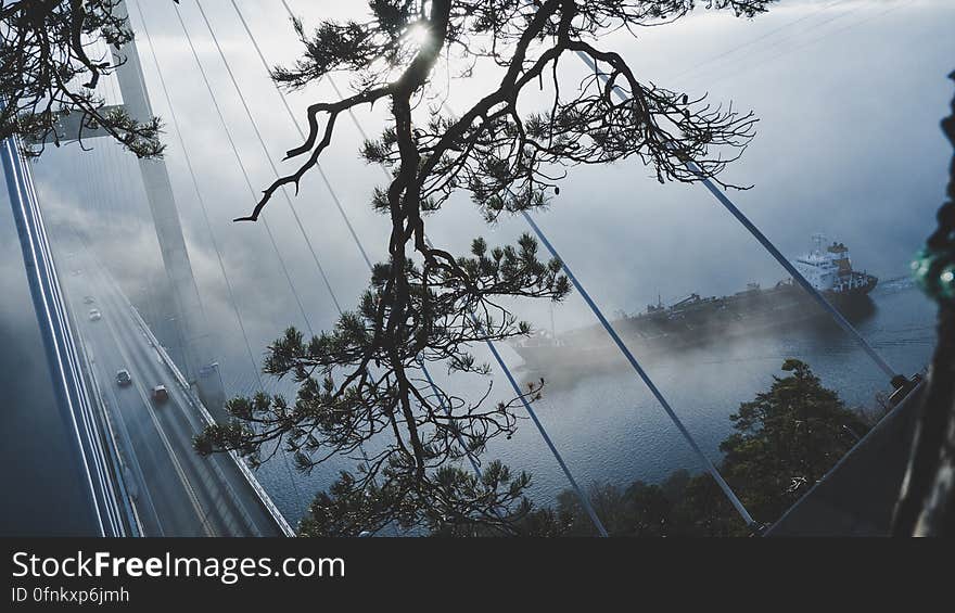 Aerial view through trees to cars on bridge with passing boat. Aerial view through trees to cars on bridge with passing boat.