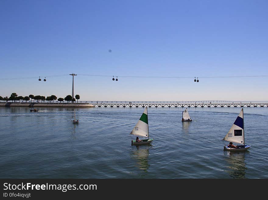 Portugal Lisbon Oceanarium