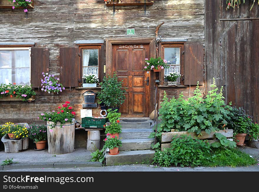 Brown Wooden Door Near Green Plant Outside the House