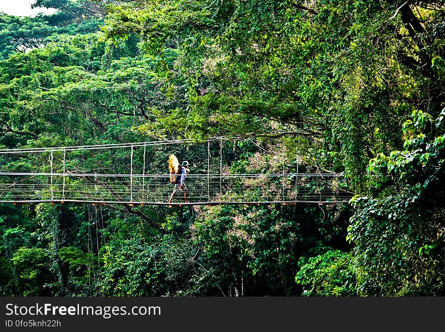 Person walking over aerial rope bridge in dense jungle. Person walking over aerial rope bridge in dense jungle.