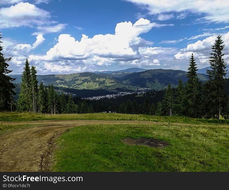 Discover the forest roads near Vatra Dornei