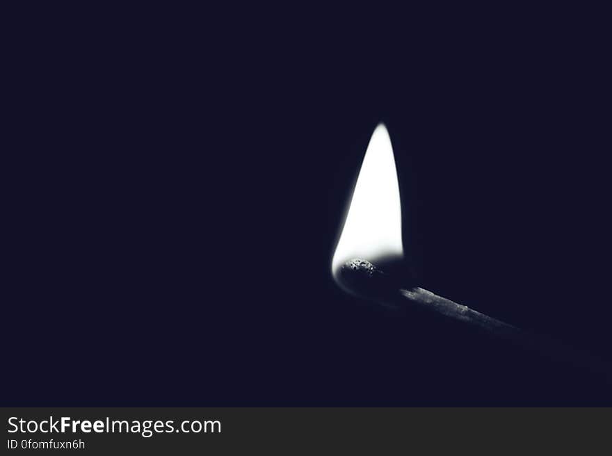 Head of freshly lighted match with dark background and copy space.