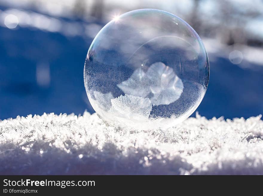 Close-up of Snowflakes