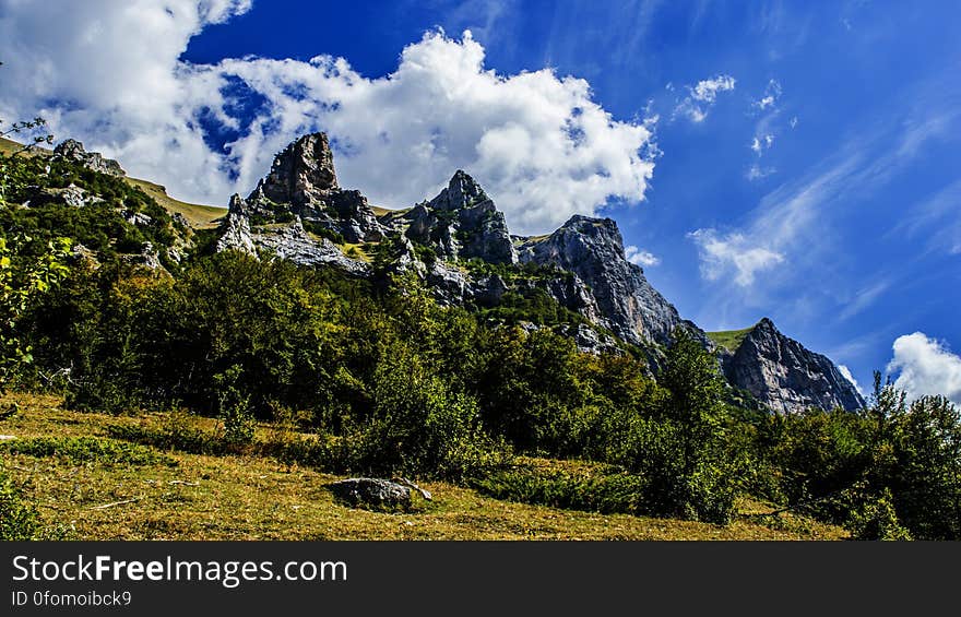 A view of a green forest and a mountain under blue skies. A view of a green forest and a mountain under blue skies.