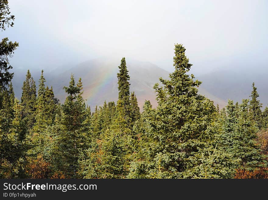 We thought we&#x27;d give you something happy to wake up to this morning &#x28;well, if it&#x27;s morning when you&#x27;re looking at this&#x29;...a rainbow over a lush, mountain forest in Healy, Alaska. No unicorns though, sorry. We thought we&#x27;d give you something happy to wake up to this morning &#x28;well, if it&#x27;s morning when you&#x27;re looking at this&#x29;...a rainbow over a lush, mountain forest in Healy, Alaska. No unicorns though, sorry.