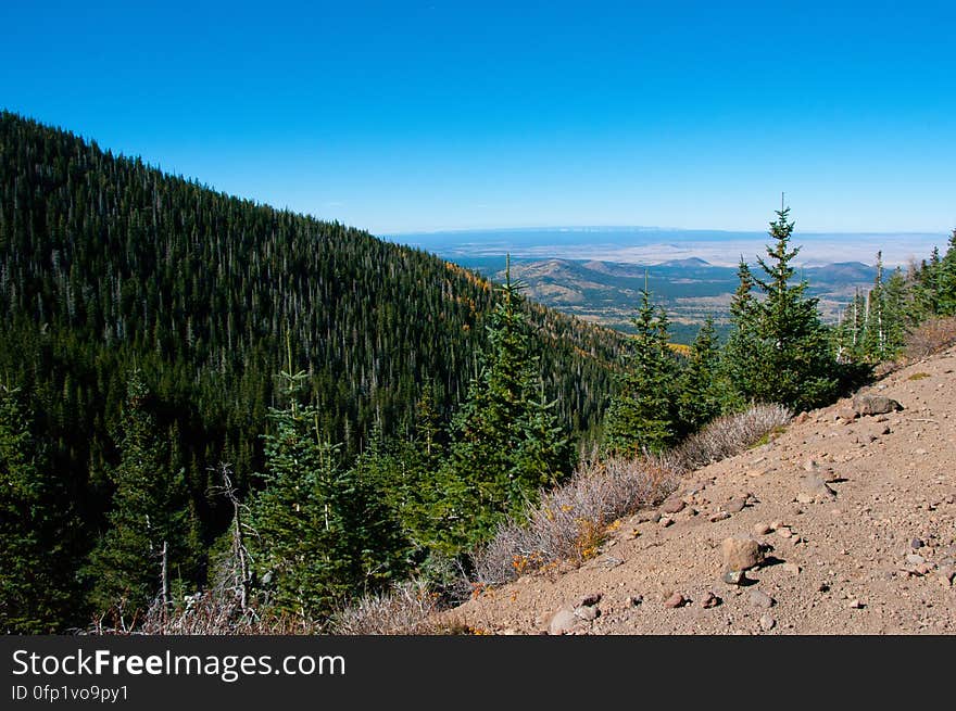 Autumn hike of the Bear Jaw, Waterline, and Abineau Trails Loop on the northern side of Flagstaff&#x27;s San Francisco Peaks. Autumn hike of the Bear Jaw, Waterline, and Abineau Trails Loop on the northern side of Flagstaff&#x27;s San Francisco Peaks.