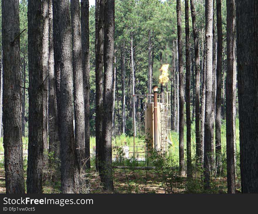 Natural Gas Flare — Sometimes, often due to lack of transportation or storage capacity, natural gas that is co-produced with oil will be burned in a flare as in this photo. This wellpad is in the Tuscaloosa Marine Shale in Liberty, MS. &#x28;Credit: Alex Demas, USGS&#x29;.