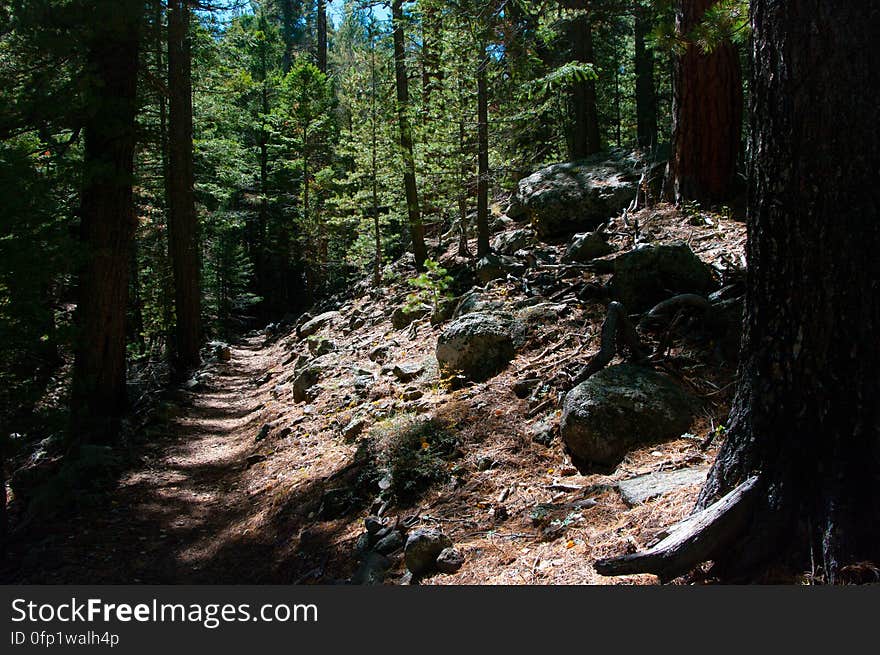 Autumn hike of the Bear Jaw, Waterline, and Abineau Trails Loop on the northern side of Flagstaff&#x27;s San Francisco Peaks. Autumn hike of the Bear Jaw, Waterline, and Abineau Trails Loop on the northern side of Flagstaff&#x27;s San Francisco Peaks.