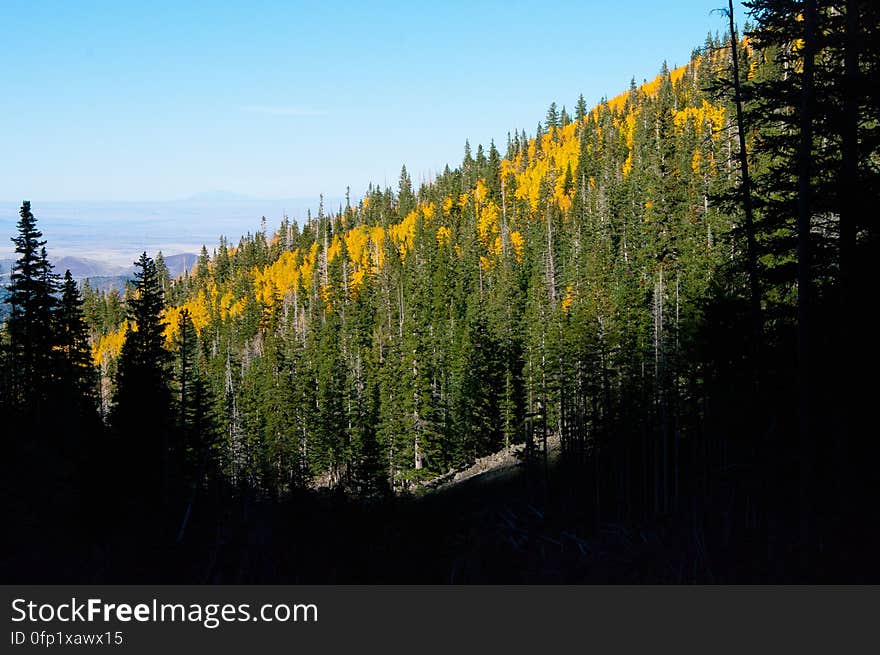 Autumn hike of the Bear Jaw, Waterline, and Abineau Trails Loop on the northern side of Flagstaff&#x27;s San Francisco Peaks. Autumn hike of the Bear Jaw, Waterline, and Abineau Trails Loop on the northern side of Flagstaff&#x27;s San Francisco Peaks.