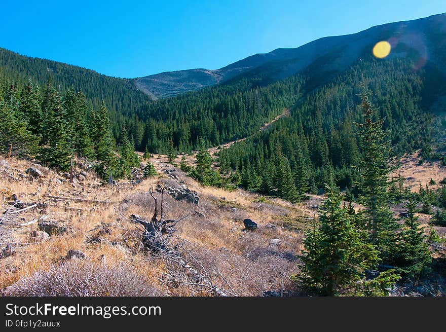 Autumn hike of the Bear Jaw, Waterline, and Abineau Trails Loop on the northern side of Flagstaff&#x27;s San Francisco Peaks. Autumn hike of the Bear Jaw, Waterline, and Abineau Trails Loop on the northern side of Flagstaff&#x27;s San Francisco Peaks.