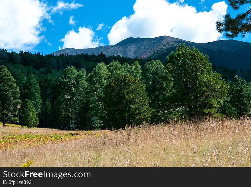 View of Humphreys Peak, the highest of the San Francisco Peaks. The Peaks is an extinct stratovolcano in northern Arizona. On the southwestern side of the San Francisco Peaks, Arizona Trail Passage 34 drops gently from the junction of Aspen Loop, heading north across the top of Hart Prarie. The trail skirts the edge of the Kachina Peaks Wilderness, instersecting Bismarck Lake Trail approximately 2 miles from Aspen Loop. This section of trail offers fantastic views of the Humphreys and Agassiz Peaks of the San Francisco Peaks, as well as stunning vistas of Hart Prarie, Kendrick Mountain, and surrounding area. Photo by Deborah Lee Soltesz, September 2015. Source: U.S. Forest Service, Coconino National Forest. See Bismarck Lake and Aspen Loop trail descriptions for information about these Arizona Trail Passage 34 access trails on the Coconino National Forest website.