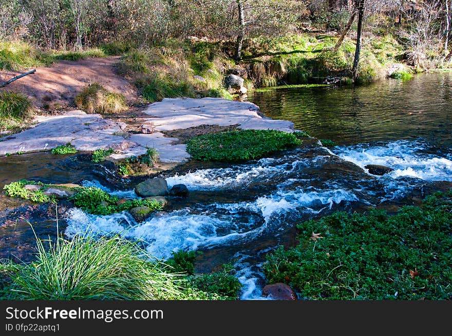 Fossil Creek seems to appear out of nowhere, gushing 20,000 gallons a minute out of a series of springs at the bottom of a 1,600 foot deep canyon. Over the years these calcium laden waters have laid down huge deposits of a type of limestone called travertine. That rock-like substance encases whatever happens to fall into the streambed, forming the fossils for which the area is named. Fossil Creek is one of two &quot;Wild and Scenic&quot; rivers in Arizona. This special designation was achieved when the Irving power plant was decommissioned, and removal of flume and dam on the creek allowed this magnificent creek to once again flow freely through Arizona&#x27;s arid landscape. Most people come to Fossil Creek to sunbathe, wade, hike and birdwatch. It&#x27;s also a great place to take photographs. The lushness of the riparian area strikes a sharp contrast to the brittle desert that surrounds it. Increasing popularity has led to the Coconino and Tonto National Forests to implement a parking permit reservation system in 2016. Reserved parking permits give visitors the peace of mind knowing they&#x27;ll have a spot waiting for them in this remote location. Many visitors drive two or three hours to get to the creek. The final descent to the creek at the bottom of a canyon is on an extremely rough, rocky jeep road. Photo by Deborah Lee Soltesz. Credit: USFS Coconino National Forest. Learn more about visiting Fossil Creek, Fossil Springs Wilderness, and the Coconino National Forest.