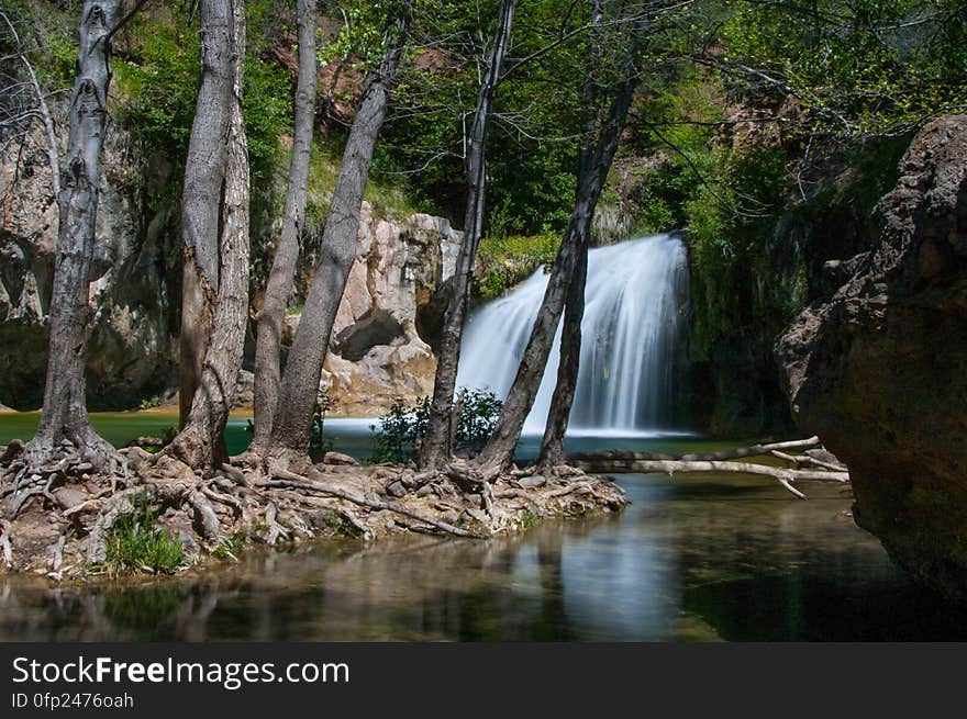 This large, natural waterfall on Fossil Creek is the destination of an easy, one mile hike on Waterfall Trail. A large, deep pool at the base of the fall is a popular swimming hole. Fossil Creek produces 20,000 gallons of water a minute from a series of springs at the bottom of a 1,600 foot deep canyon. This permanent water source has created a stunningly beautiful, green riparian zone rich with flora and fauna at the bottom of this arid canyon in Arizona&#x27;s high desert. Travertine deposits encase whatever happens to fall into the streambed, forming the fossils for which the area is named. These deposits create deep pools along the length of the creek, providing opportunities to find more secluded swimming holes than the popular pool at the waterfall. Fossil Creek is one of two &#x22;Wild and Scenic&#x22; rivers in Arizona. This designation was achieved when the Irving power plant was decommissioned, and removal of flume and dam on the creek allowed the creek to flow free. Increasing popularity has led to the Coconino and Tonto National Forests to implement a parking permit reservation system in 2016. Reserved parking permits allow visitors to have a parking spot available in their chosen parking lot. Many visitors drive two or three hours to get to the creek. The final descent to the creek at the bottom of a canyon is on an extremely rough, rocky jeep road. In prior years, the area would often be closed to entry when it reached capacity, and potential visitors would be turned away after the long, difficult drive. Photo by Deborah Lee Soltesz, May 12, 2016. For trail and recreation information, see Fossil Creek, Fossil Springs Wilderness, and the Coconino National Forest. This large, natural waterfall on Fossil Creek is the destination of an easy, one mile hike on Waterfall Trail. A large, deep pool at the base of the fall is a popular swimming hole. Fossil Creek produces 20,000 gallons of water a minute from a series of springs at the bottom of a 1,600 foot deep canyon. This permanent water source has created a stunningly beautiful, green riparian zone rich with flora and fauna at the bottom of this arid canyon in Arizona&#x27;s high desert. Travertine deposits encase whatever happens to fall into the streambed, forming the fossils for which the area is named. These deposits create deep pools along the length of the creek, providing opportunities to find more secluded swimming holes than the popular pool at the waterfall. Fossil Creek is one of two &#x22;Wild and Scenic&#x22; rivers in Arizona. This designation was achieved when the Irving power plant was decommissioned, and removal of flume and dam on the creek allowed the creek to flow free. Increasing popularity has led to the Coconino and Tonto National Forests to implement a parking permit reservation system in 2016. Reserved parking permits allow visitors to have a parking spot available in their chosen parking lot. Many visitors drive two or three hours to get to the creek. The final descent to the creek at the bottom of a canyon is on an extremely rough, rocky jeep road. In prior years, the area would often be closed to entry when it reached capacity, and potential visitors would be turned away after the long, difficult drive. Photo by Deborah Lee Soltesz, May 12, 2016. For trail and recreation information, see Fossil Creek, Fossil Springs Wilderness, and the Coconino National Forest.