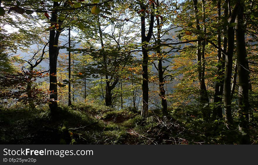 ===&gt; This photo is public domain. More infos. ===&gt; This photo is public domain. More infos.