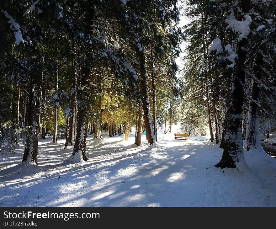 Gestern, in Lenzerheide ❄️❄️🌲🌞. Gestern, in Lenzerheide ❄️❄️🌲🌞