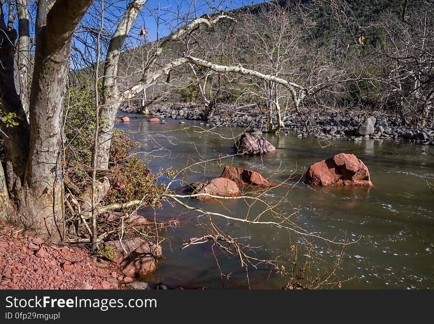 Snowmelt from a series winter storms in late January 2017 followed by rain and warm weather in February had dry creekbeds running and many of Arizona&#x27;s reservoirs filled and overflowing. Dry Beaver Creek in Woods Canyon was no exception. Woods Canyon Trail is level and unshaded as it follows a jeep road into the wide canyon mouth for 1.25 miles. The road ends and the trail continues, climbing gradually. There are views of the vegetation-covered slopes of mesas on either side. The trail enters Munds Mountain Wilderness continuing its easy climb. The trail approaches and then follows Dry Beaver Creek. At the confluence with Rattlesnake Canyon, the trail emerges onto a picturesque expanse of redrock studded with huge, gray boulders. Further down some nice redrock views as the trail climbs on a moderate grade out of the creekbed. Photo by Deborah Lee Soltesz, February 15, 2017. Credit: Coconino National Forest, U.S. Forest Service. Learn more about Woods Canyon Trail No. 93 on the Coconino National Forest.