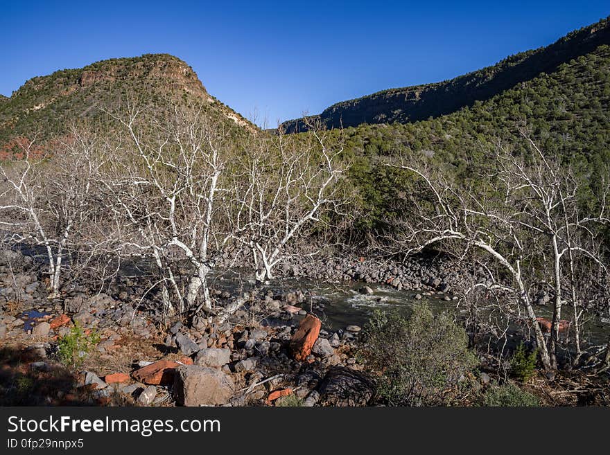 Snowmelt from a series winter storms in late January 2017 followed by rain and warm weather in February had dry creekbeds running and many of Arizona&#x27;s reservoirs filled and overflowing. Dry Beaver Creek in Woods Canyon was no exception. Woods Canyon Trail is level and unshaded as it follows a jeep road into the wide canyon mouth for 1.25 miles. The road ends and the trail continues, climbing gradually. There are views of the vegetation-covered slopes of mesas on either side. The trail enters Munds Mountain Wilderness continuing its easy climb. The trail approaches and then follows Dry Beaver Creek. At the confluence with Rattlesnake Canyon, the trail emerges onto a picturesque expanse of redrock studded with huge, gray boulders. Further down some nice redrock views as the trail climbs on a moderate grade out of the creekbed. Photo by Deborah Lee Soltesz, February 15, 2017. Credit: Coconino National Forest, U.S. Forest Service. Learn more about Woods Canyon Trail No. 93 on the Coconino National Forest.