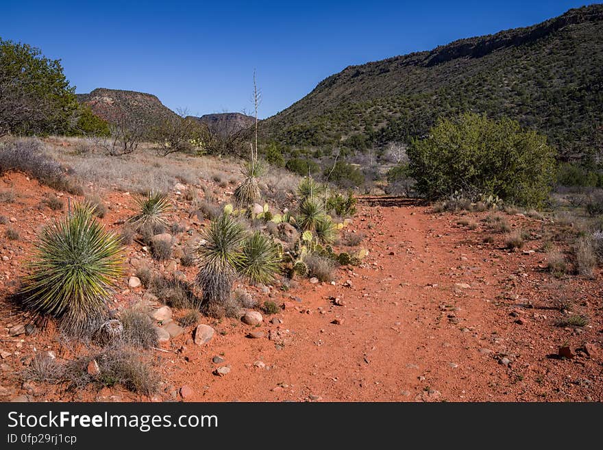 Snowmelt from a series winter storms in late January 2017 followed by rain and warm weather in February had dry creekbeds running and many of Arizona&#x27;s reservoirs filled and overflowing. Dry Beaver Creek in Woods Canyon was no exception. Woods Canyon Trail is level and unshaded as it follows a jeep road into the wide canyon mouth for 1.25 miles. The road ends and the trail continues, climbing gradually. There are views of the vegetation-covered slopes of mesas on either side. The trail enters Munds Mountain Wilderness continuing its easy climb. The trail approaches and then follows Dry Beaver Creek. At the confluence with Rattlesnake Canyon, the trail emerges onto a picturesque expanse of redrock studded with huge, gray boulders. Further down some nice redrock views as the trail climbs on a moderate grade out of the creekbed. Photo by Deborah Lee Soltesz, February 15, 2017. Credit: Coconino National Forest, U.S. Forest Service. Learn more about Woods Canyon Trail No. 93 on the Coconino National Forest.