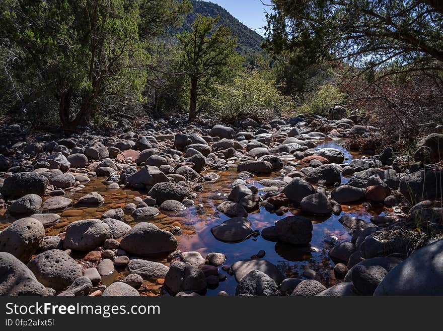 Shallow creek crossing across this side drainage, wet due to spring snow melt. Snowmelt from a series winter storms in late January 2017 followed by rain and warm weather in February had dry creekbeds running and many of Arizona&#x27;s reservoirs filled and overflowing. Dry Beaver Creek in Woods Canyon was no exception. Woods Canyon Trail is level and unshaded as it follows a jeep road into the wide canyon mouth for 1.25 miles. The road ends and the trail continues, climbing gradually. There are views of the vegetation-covered slopes of mesas on either side. The trail enters Munds Mountain Wilderness continuing its easy climb. The trail approaches and then follows Dry Beaver Creek. At the confluence with Rattlesnake Canyon, the trail emerges onto a picturesque expanse of redrock studded with huge, gray boulders. Further down some nice redrock views as the trail climbs on a moderate grade out of the creekbed. Photo by Deborah Lee Soltesz, February 15, 2017. Credit: Coconino National Forest, U.S. Forest Service. Learn more about Woods Canyon Trail No. 93 on the Coconino National Forest.