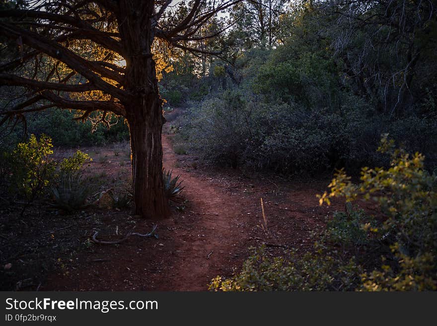 Snowmelt from a series winter storms in late January 2017 followed by rain and warm weather in February had dry creekbeds running and many of Arizona&#x27;s reservoirs filled and overflowing. Dry Beaver Creek in Woods Canyon was no exception. Woods Canyon Trail is level and unshaded as it follows a jeep road into the wide canyon mouth for 1.25 miles. The road ends and the trail continues, climbing gradually. There are views of the vegetation-covered slopes of mesas on either side. The trail enters Munds Mountain Wilderness continuing its easy climb. The trail approaches and then follows Dry Beaver Creek. At the confluence with Rattlesnake Canyon, the trail emerges onto a picturesque expanse of redrock studded with huge, gray boulders. Further down some nice redrock views as the trail climbs on a moderate grade out of the creekbed. Photo by Deborah Lee Soltesz, February 15, 2017. Credit: Coconino National Forest, U.S. Forest Service. Learn more about Woods Canyon Trail No. 93 on the Coconino National Forest.