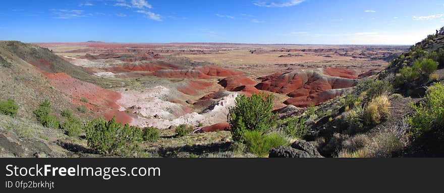 Petrified Forest National Park Panoramic View A Public Domain Dedication