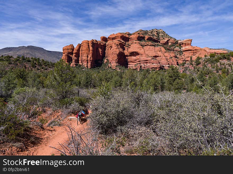 Loy Canyon Trail is west of Sedona, Arizona in Red Rock-Secret Mountain Wilderness. The trail was originally built to move livestock to and from summer pastures above the canyon&#x27;s rim. The trail is easy until it reaches the end of the canyon, where it ascends to meet Secret Mountain Trail. www.fs.usda.gov/recarea/coconino/recarea/?recid=55348