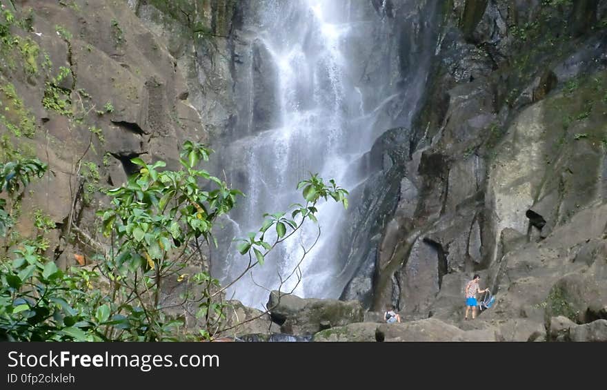 Roseau Valley - Dominica is known as &#x22;The Nature Island of the Caribbean&#x22; due to its spectacular, lush, and varied flora and fauna. Roseau Valley - Dominica is known as &#x22;The Nature Island of the Caribbean&#x22; due to its spectacular, lush, and varied flora and fauna.