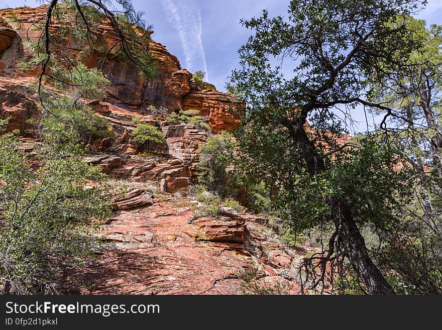 Loy Canyon Trail is west of Sedona, Arizona in Red Rock-Secret Mountain Wilderness. The trail was originally built to move livestock to and from summer pastures above the canyon&#x27;s rim. The trail is easy until it reaches the end of the canyon, where it ascends to meet Secret Mountain Trail. www.fs.usda.gov/recarea/coconino/recarea/?recid=55348